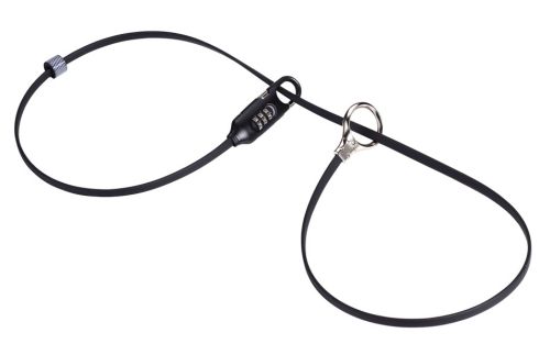 Antivol BBB BBL-55 LoopSafe.