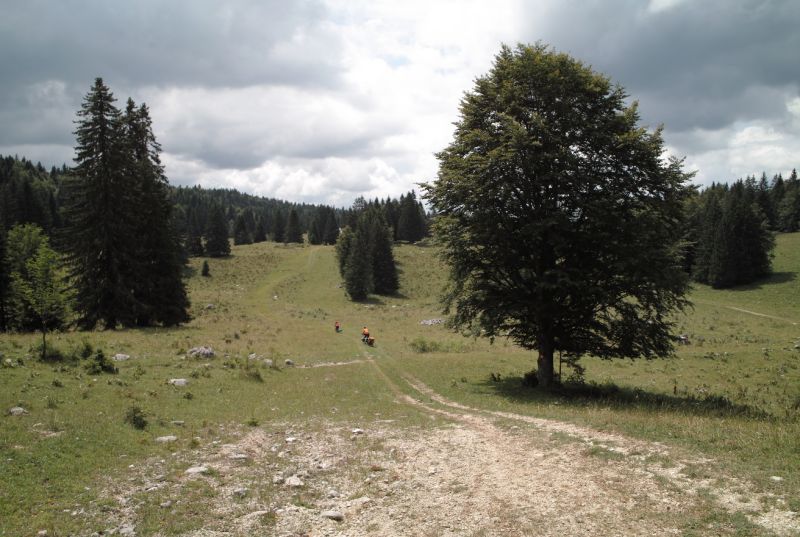 Voyage à vélo sur le GR5 et la GTJ avec les remorques Beez et Single Trailer.